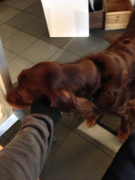 2013 02 16 12 13 52 HDR