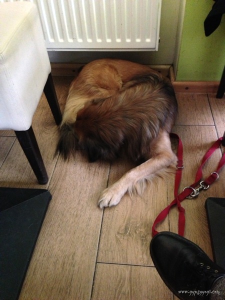 2013 02 28 14 38 54 HDR