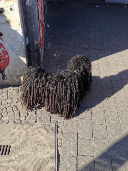 2013 03 16 15 00 26 HDR