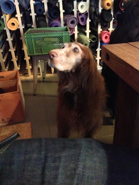 2013 03 17 14 51 20 HDR