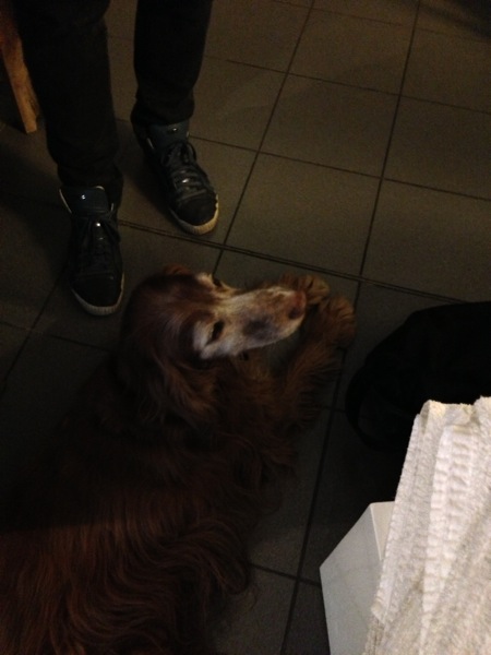 2013 03 17 16 25 59 HDR