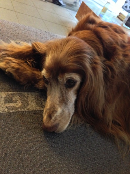 2013 04 14 17 21 10 HDR