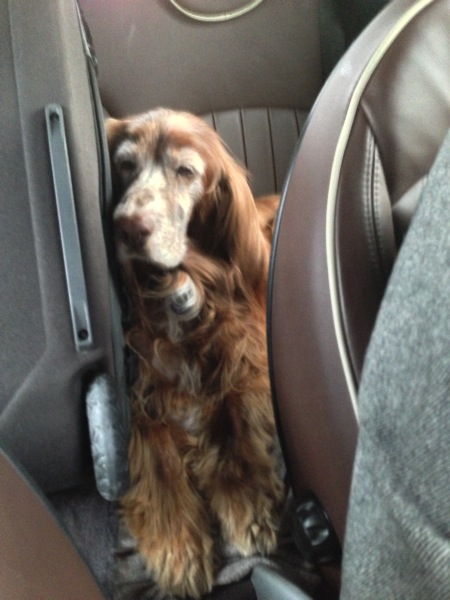 2013 04 16 07 32 34 HDR