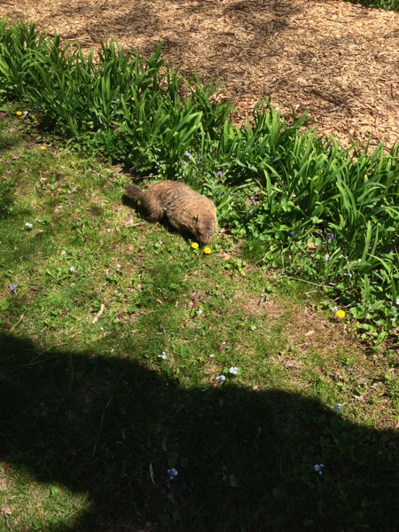 2013 05 02 12 34 44 HDR