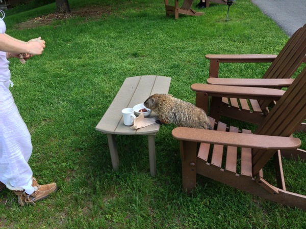 2013 05 16 17 39 21 HDR