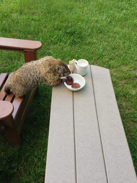 2013 05 16 17 39 38 HDR