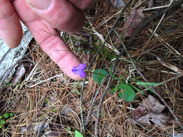 2013 05 18 13 30 09 HDR