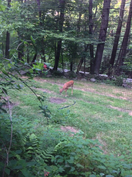 2013 07 31 18 02 26 HDR