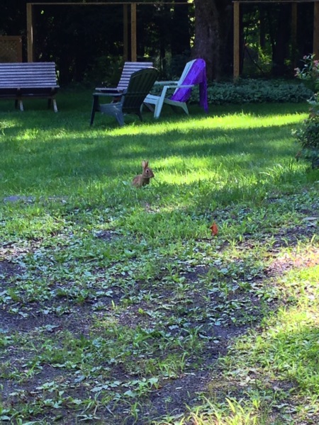 2013 08 05 09 34 07 HDR