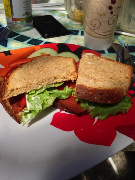 2013 08 05 14 49 45 HDR