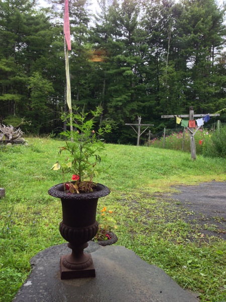 2013 08 07 09 46 26 HDR