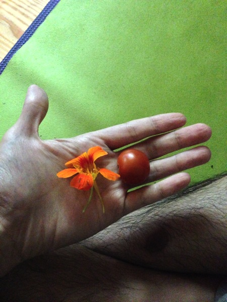 2013 08 16 12 53 36 HDR