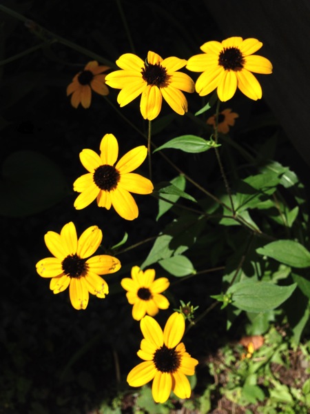 2013 08 16 14 13 51 HDR