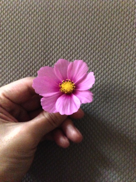 2013 08 28 12 59 11 HDR