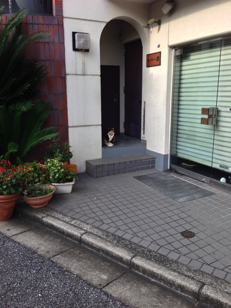 2013 09 23 07 37 52 HDR