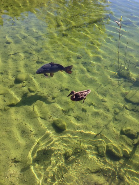 2013 10 17 10 46 21 HDR