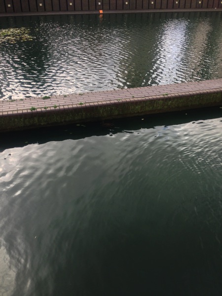 2013 10 28 12 06 56 HDR