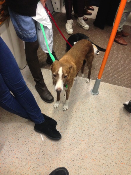 2013 10 30 17 05 27 HDR