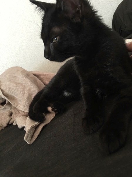 2016-08-25 10.07.19-1.jpg 2016 08 25 10 07 19 1